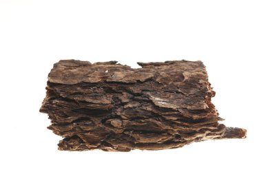 Beyaz arka planda çam kabuğu