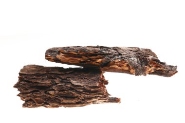 Beyaz arka planda çam kabuğu