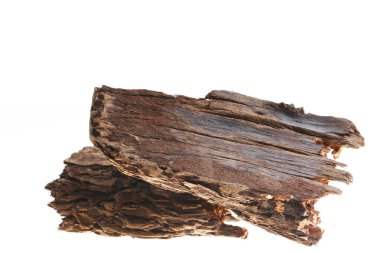 Beyaz arka planda çam kabuğu