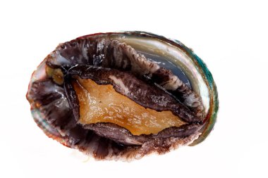 Beyaz bir zemin üzerinde istiridye kabuklu deniz ürünleri, lezzetli