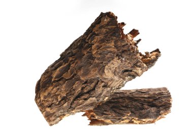 Beyaz arka planda çam kabuğu