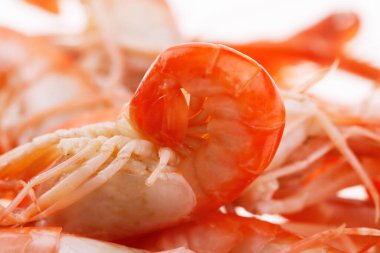 Beyaz bir grup üzerinde karides