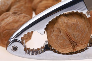 Beyaz arka planda cevizler