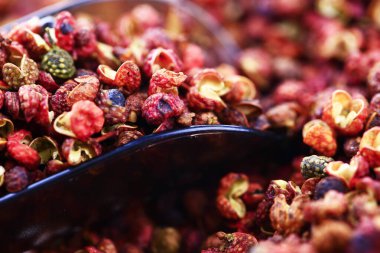 Beyaz arka planda Çin dikenli külleri