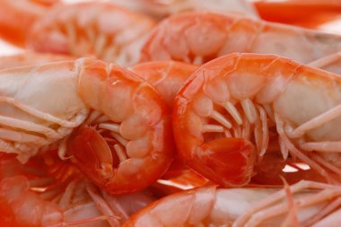 Beyaz bir grup üzerinde karides