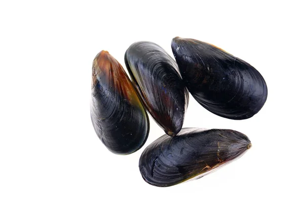 Mussels White Background — Stock Photo, Image