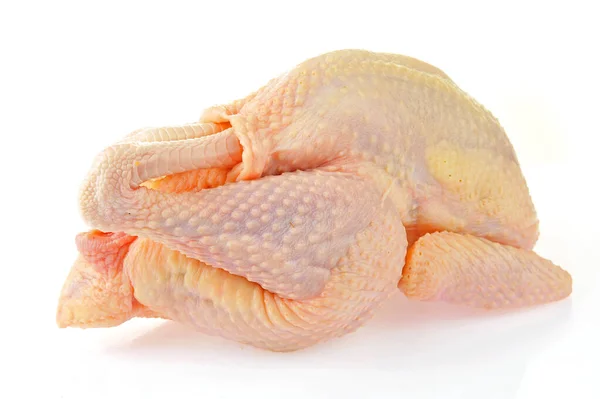 Csirke Izolált Egy Fehér Backgroun — Stock Fotó