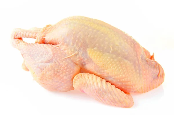 Ayam Diisolasi Pada Backgroun Putih — Stok Foto
