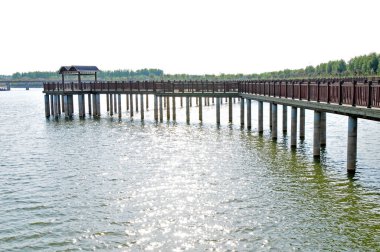 Köprünün ahşap yapısının yüzeyinde