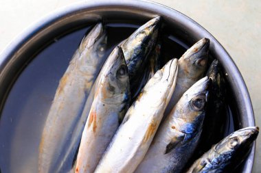 İspanyol uskumrusu, çok taze ve lezzetli.