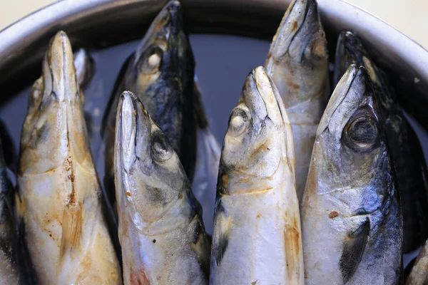 Fisch Sehr Frisch Und Schmackhaft — Stockfoto