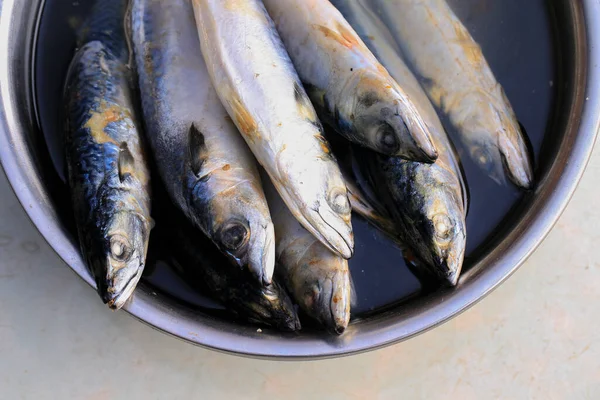Spaanse Makreel Zeer Vers Smakelijk — Stockfoto