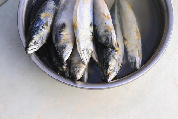 Spanische Makrele Sehr Frisch Und Schmackhaft — Stockfoto