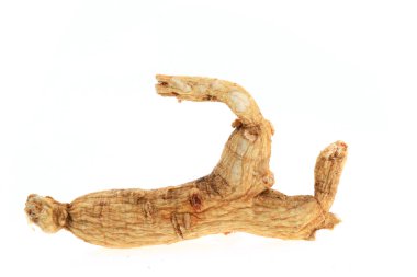 Ginseng beyaz arka planda