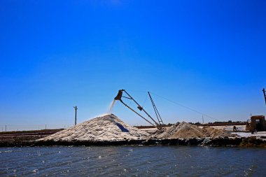 Geleneksel beyaz tuz, tuz tarlası