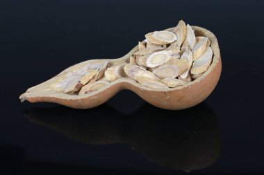 Beyaz bir sırt üzerinde Çin bitkisel ilaç astragalus membranaceus