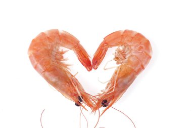 Fresh prawns in a white background