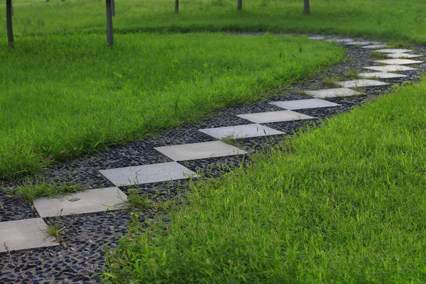 公園内の石の道 — ストック写真