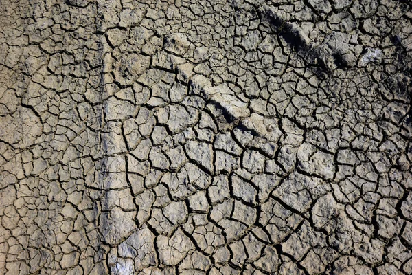 Calentamiento Climático Tierra Seca Agrietada — Foto de Stock