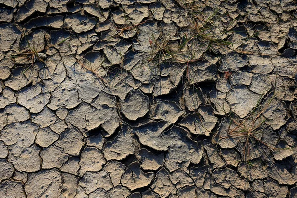 気候温暖化乾燥した土地を切り取った — ストック写真