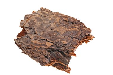 Beyaz arka planda çam kabuğu