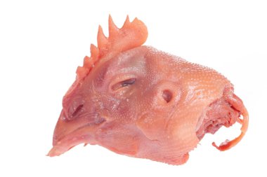 Beyaz arka planda taze tavuk kafası