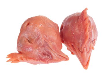 Beyaz arka planda taze tavuk kafası