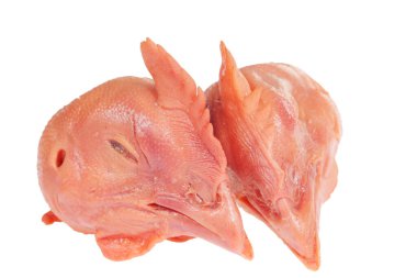 Beyaz arka planda taze tavuk kafası