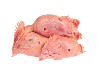 Beyaz arka planda taze tavuk kafası