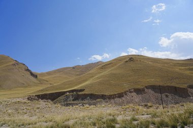 Güneşli bir yaz, geniş bir panoramik dağ çayırı manzarası ve doğal otlaklar..