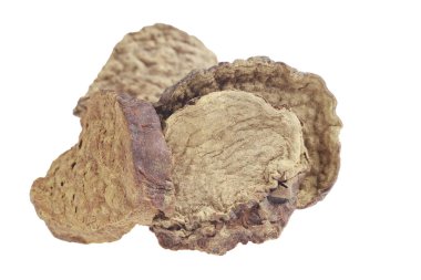 Beyaz arka planda Çin bitkisel ilacıyla Cistanche deserticola