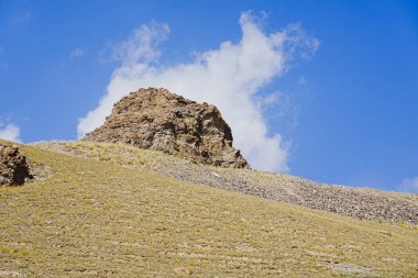 Güneşli bir yaz, geniş bir panoramik dağ çayırı manzarası ve doğal otlaklar..