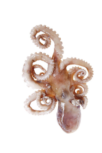 .Тюльпаны - яркие цветы.