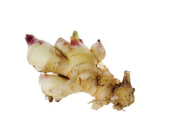 Genç ve taze kızıl beyaz bir arka planda oturuyor..