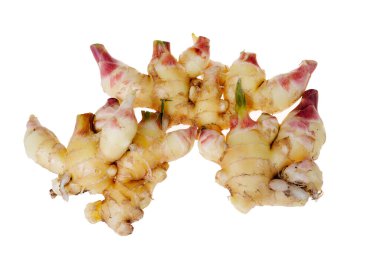 Genç ve taze kızıl beyaz bir arka planda oturuyor..