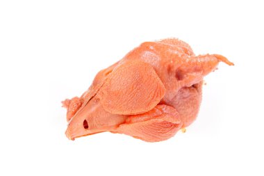 Beyaz arka planda tavuk kafası