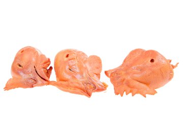 Beyaz arka planda tavuk kafası