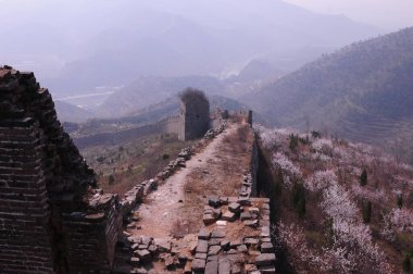 Orijinal ekolojik duvar ve güzel şeftali çiçeği.