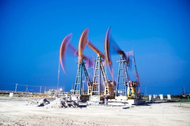 Elma ağacının dalında toplanmadan önce elma bahçesinde bir sürü olgun kırmızı elma var..