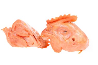 Beyaz arka planda tavuk kafası