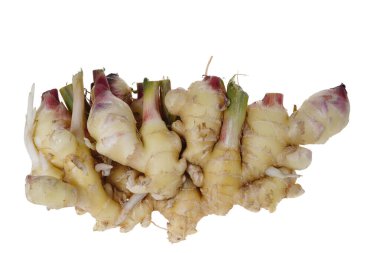 Genç ve taze kızıl beyaz bir arka planda oturuyor..