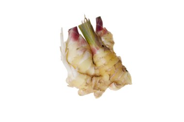 Genç ve taze kızıl beyaz bir arka planda oturuyor..