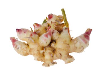 Genç ve taze kızıl beyaz bir arka planda oturuyor..