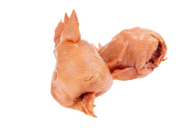 Beyaz arka planda tavuk kafası