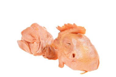 Beyaz arka planda tavuk kafası