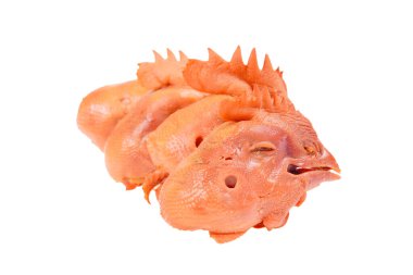 Beyaz arka planda tavuk kafası