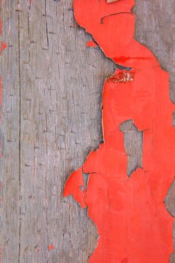 Arka planda mavi renkli fayanslar var.,