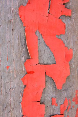 Arka planda mavi renkli fayanslar var.,