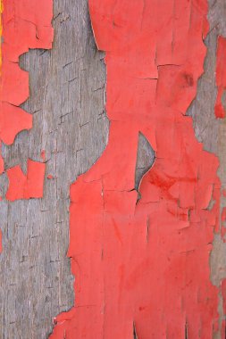 Arka planda mavi renkli fayanslar var.,