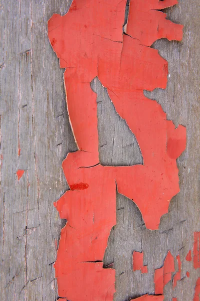 Arka planda mavi renkli fayanslar var.,